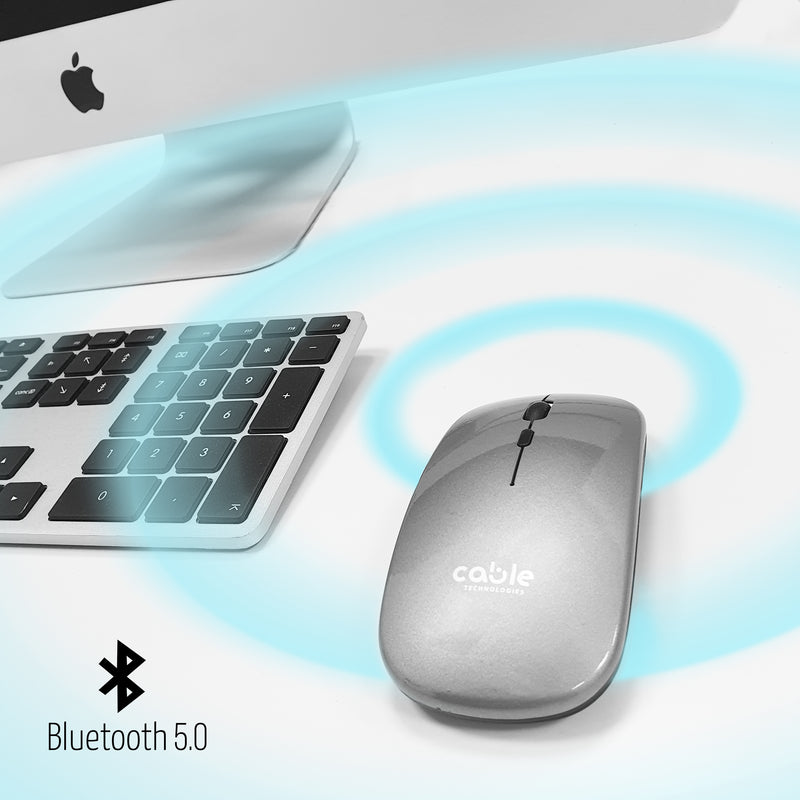 Mouse Wireless Professionale