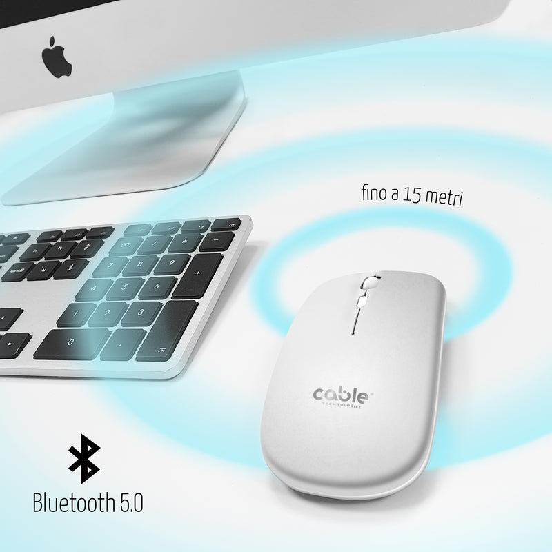 Mouse Wireless Professionale