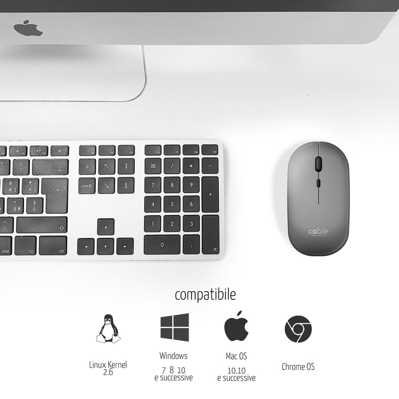 Mouse Wireless Professionale