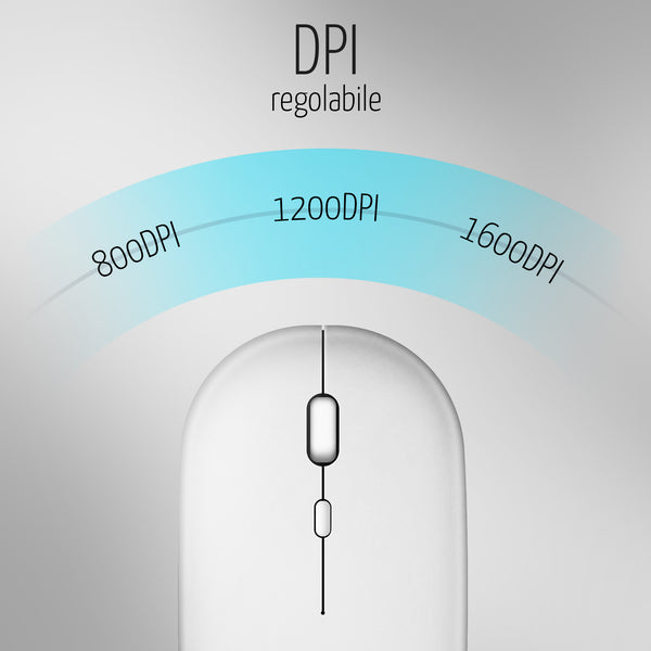 Mouse Wireless Professionale