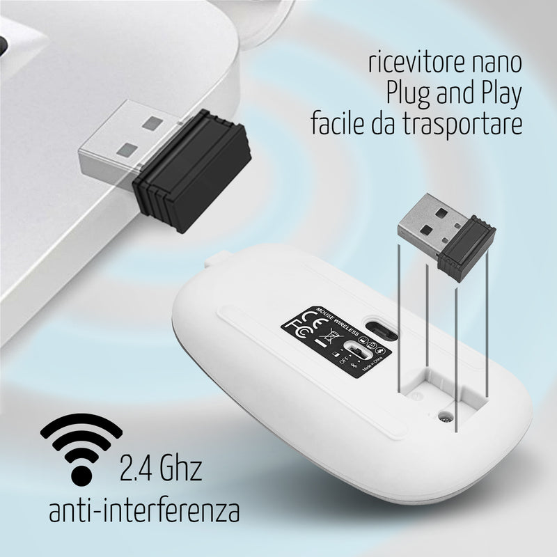 Mouse Wireless Professionale