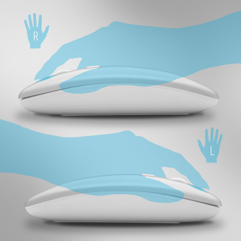 Mouse Wireless Professionale