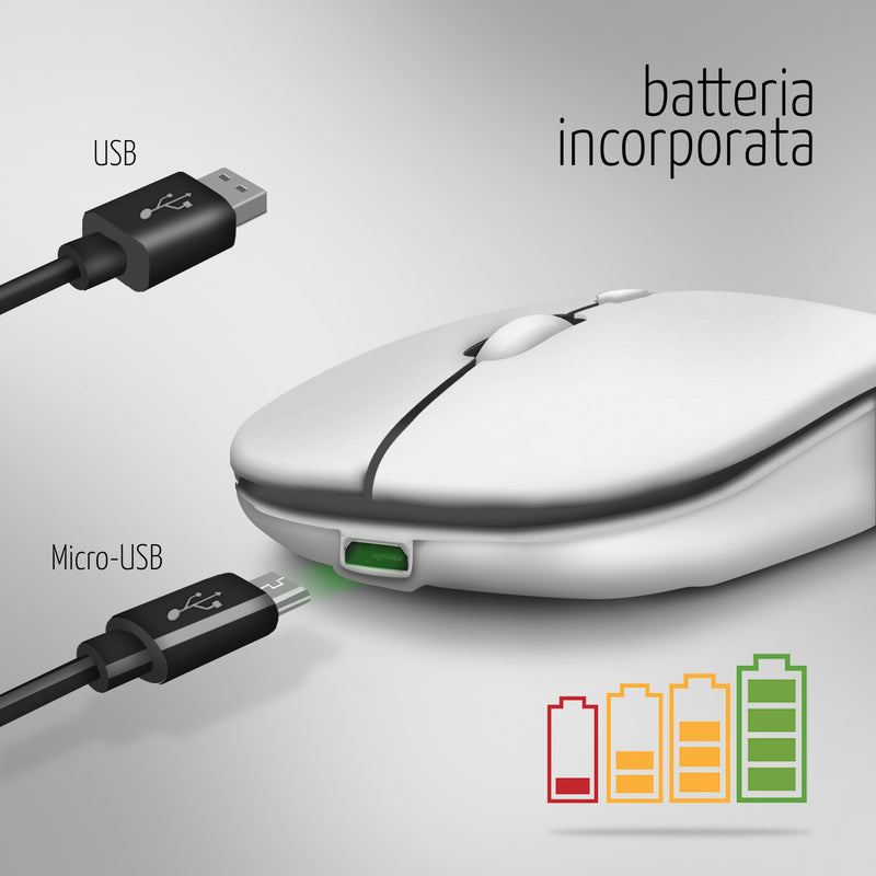 Mouse Wireless Professionale